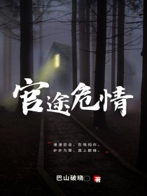 官场危情小说全文免费阅读