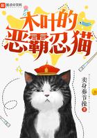 木叶之忍界霸猫