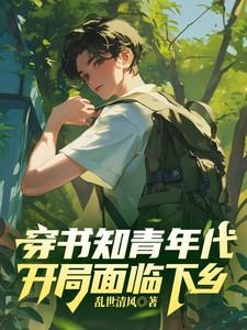 穿越知青年代的lvl