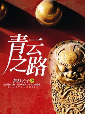 一个卧底的青云之路