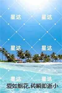 爱如烟花，转瞬即逝小说全文：结局+番外