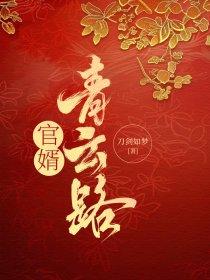 官婿青云路