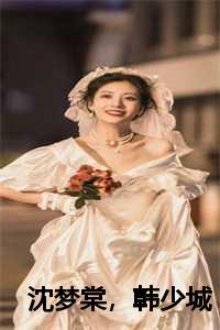 沈梦棠,韩少城