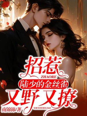 招惹:陆少的金丝雀又野又撩